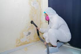 Best Industrial Mold Remediation in Robinson, TX